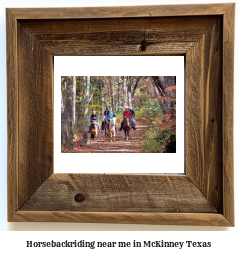 horseback riding near me in McKinney, Texas